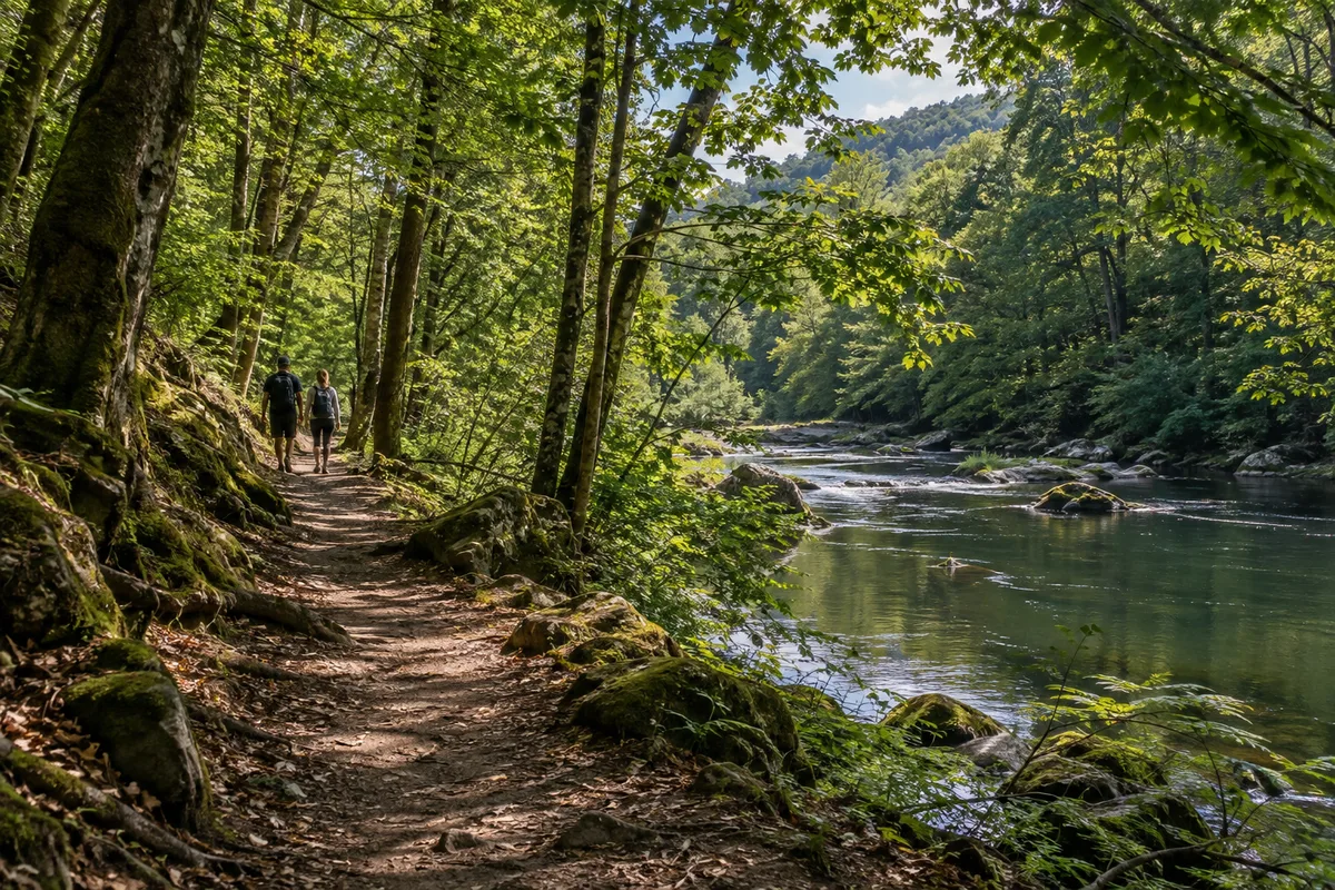 Promeneurs vus de dos sur un sentier de sous-bois longeant une rivière de plaine
